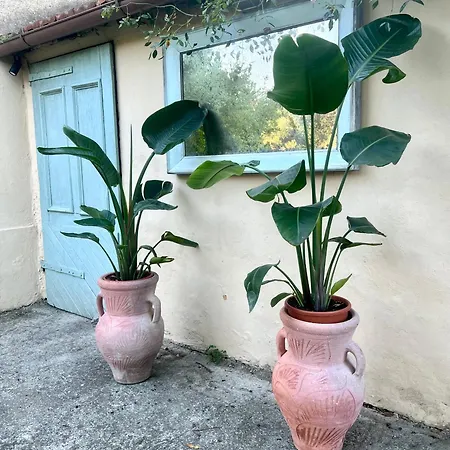 La Delle Rose Βίλα *