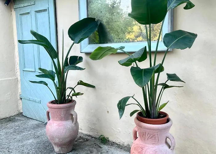 La Delle Rose Villa *